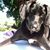 LuAnn Nead's profile image