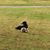 Susie Mahan Jennings's profile image
