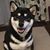 伊藤 ティム's profile image