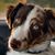 Jamie Dack Lusk's profile image