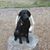 Christy McHenry's profile image