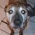 Matthias A Jans Jr's profile image