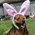 Hunter Edwin Davis's profile image