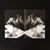 Lanas Corleone's profile image