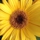 Angie N.'s profile image