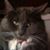 Polly Dactyl Donnelly's profile image