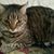 Teresa Fisk McMichael's profile image