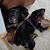 Judith Zehner Molnar's profile image
