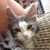 Lisa Highbaugh Greene's profile image