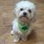 Kathi M. Bileck-Parks's profile image