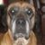 Leigh Wainright's profile image