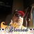 Tom Bradshaw's profile image