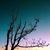 Nellie Kampmann's profile image