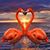 Judy Miarecki's profile image