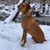 Kristi Rickrode's profile image