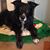 Susan Horton's profile image