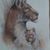 Suzanne Lambing's profile image
