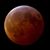 Vicki Glover Atkins's profile image
