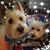 Susan Berkes's profile image
