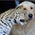 Sandy Fidler's profile image