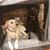 Teresa McElwee Greber's profile image