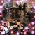 Sunny Park's profile image
