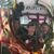 Susan Krueger Hoffmann's profile image