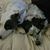 Cheryl K.'s profile image