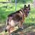 Mariposa Spca's profile image