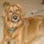 Tammy Borger's profile image