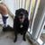 Lori Reynolds's profile image
