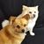 Sharon Wiggins's profile image