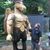 Brian Lyczak's profile image