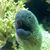 Sarah Fisher's profile image