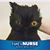 Tiphanie Ledford Grimes's profile image