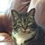 Judith Streeter's profile image