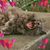 Susan Borsa's profile image
