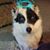 Mike-Marian Flory's profile image