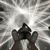 Jason Dohmann's profile image