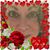 Ann Amy's profile image