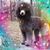 Maryann Fratto's profile image