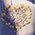 Sarah Winget Suuppi's profile image