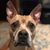 Tina Deeke's profile image