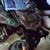 Donna Hooper Joswiak's profile image