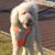 Amy Greer's profile image