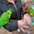 Doreen Halm's profile image