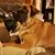 Noah T. Vaught's profile image
