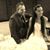 Jackie Marynik's profile image
