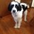 Cathy Griffis's profile image