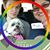 Sandra Montalvo's profile image